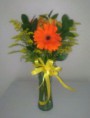 /album/gerberas/buen-dia-150-jpg/